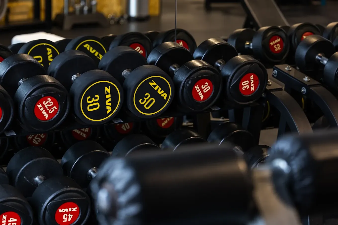 Feel Free Health Club - Feira in Santa Maria da Feira, Portugal — photo 12 of 14