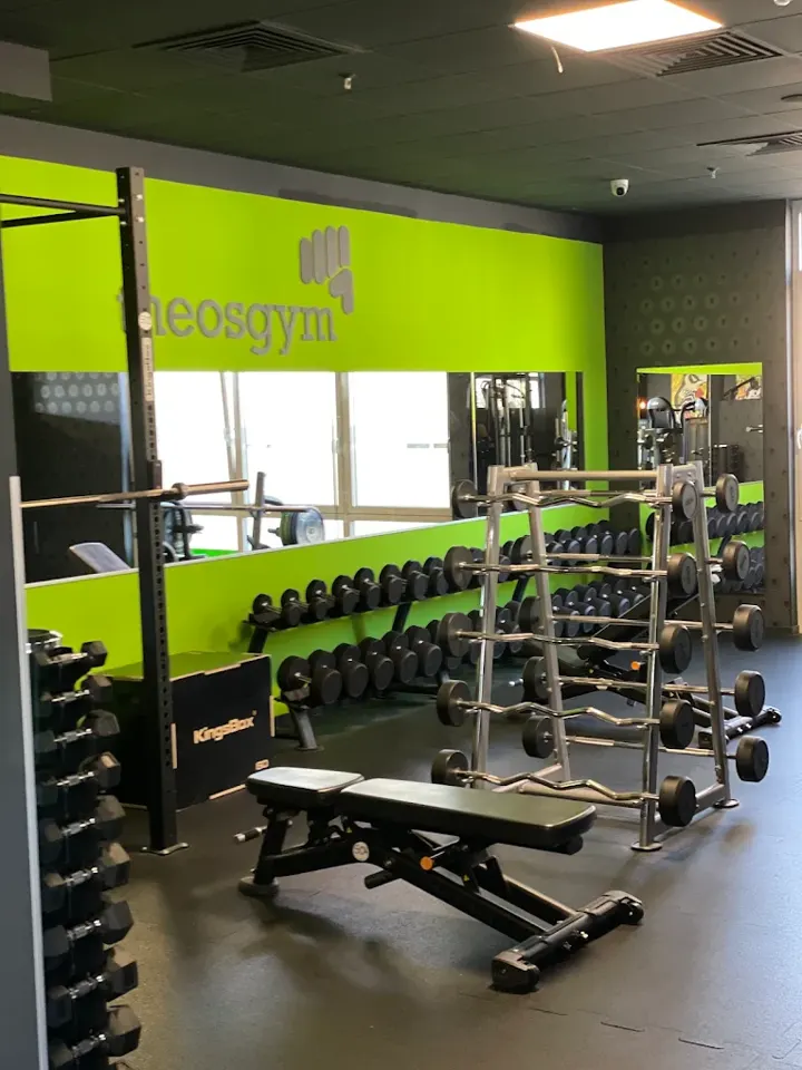 Inside TheosGym - Anklam, the BASIXX partner gym in Anklam, Germany