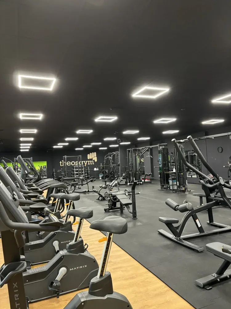 TheosGym - Aschersleben in Aschersleben, Germany — photo 4 of 9