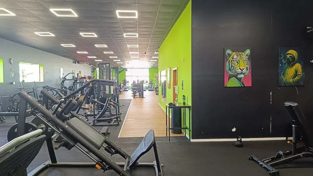 TheosGym - Lübben in Lübben, Germany — photo 7 of 10