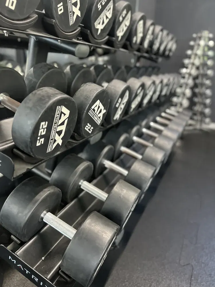 TheosGym - Müncheberg in Müncheberg, Germany — photo 6 of 9