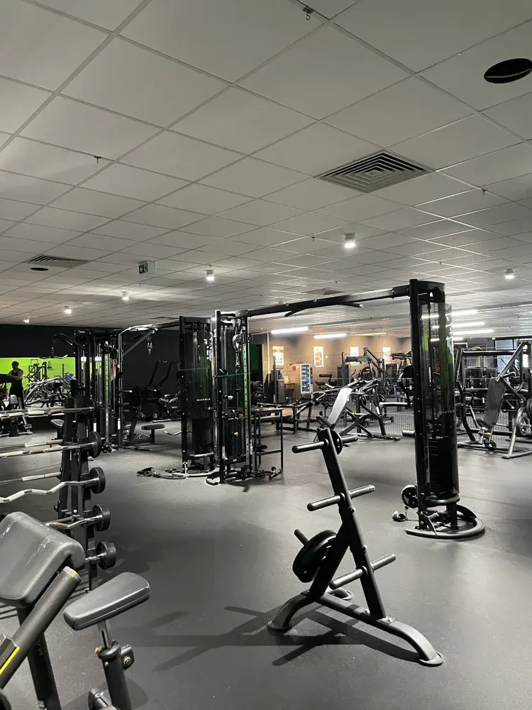 Inside TheosGym - Neustrelitz, the BASIXX partner gym in Neustrelitz, Germany