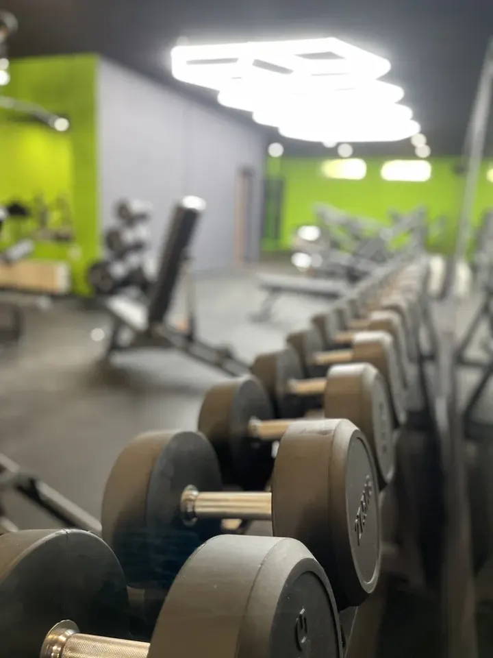 Inside TheosGym - Osterburg, the BASIXX partner gym in Osterburg, Germany