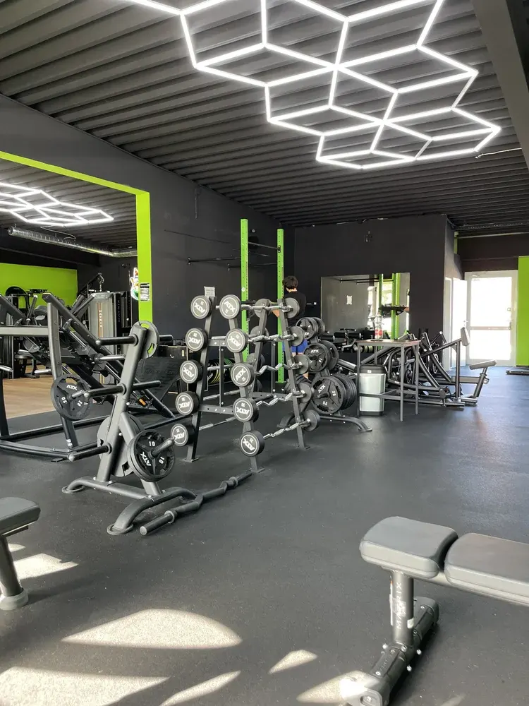Inside TheosGym - Pasewalk, the BASIXX partner gym in Pasewalk, Germany