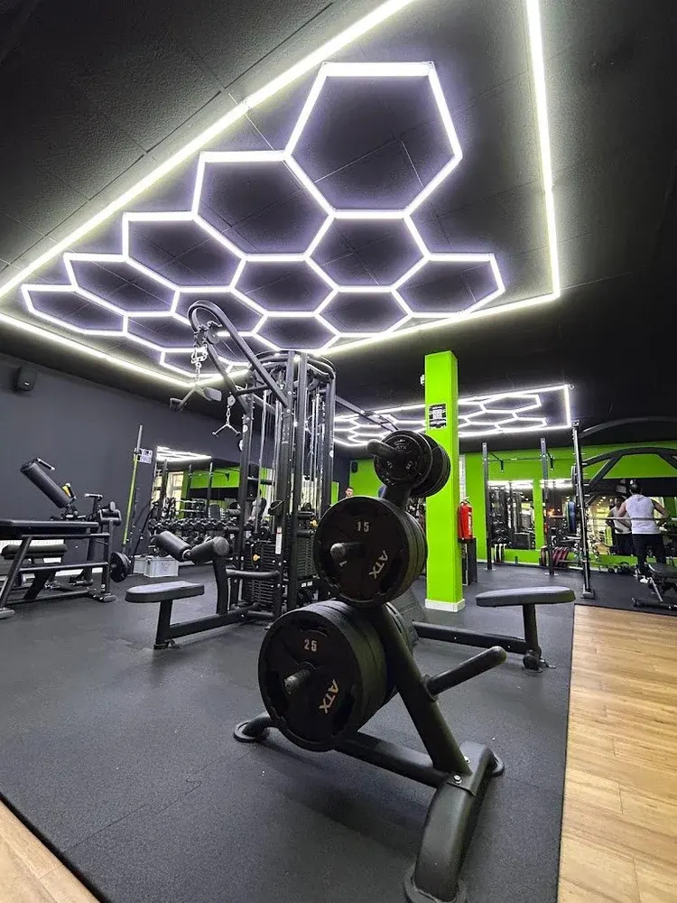 Inside TheosGym - Perleberg, the BASIXX partner gym in Perleberg, Germany