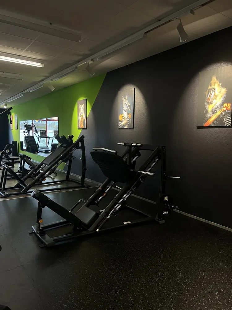 TheosGym - Thale in Thale, Germany — photo 7 of 12