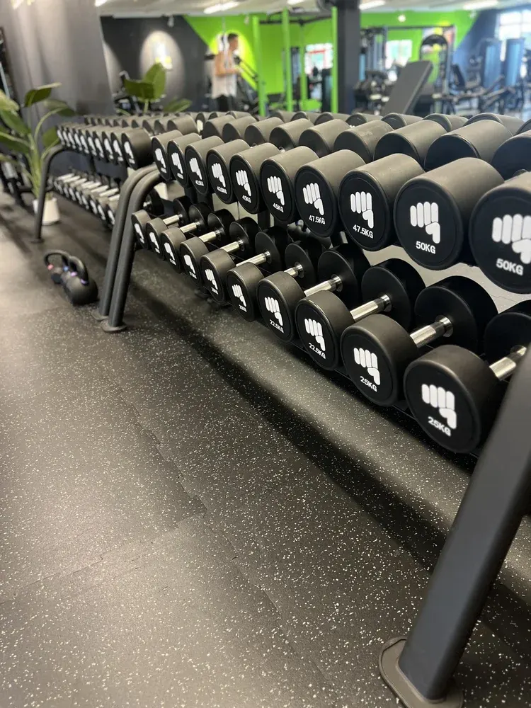 TheosGym - Thale in Thale, Germany — photo 8 of 12